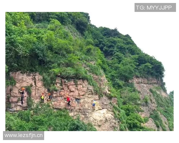杨芳专访：从初学者到攀岩高手的心路历程与成长故事